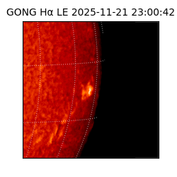 gong - 2025-11-21T23:00:42