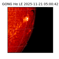 gong - 2025-11-21T05:00:42