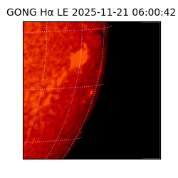 gong - 2025-11-21T06:00:42