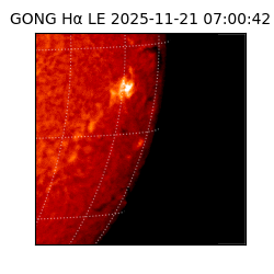 gong - 2025-11-21T07:00:42