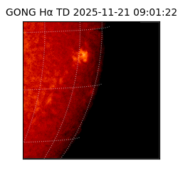 gong - 2025-11-21T09:01:22
