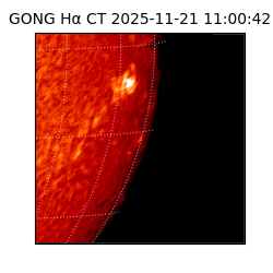 gong - 2025-11-21T11:00:42