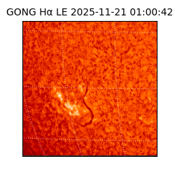 gong - 2025-11-21T01:00:42