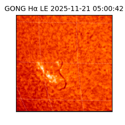 gong - 2025-11-21T05:00:42