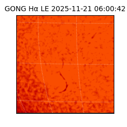 gong - 2025-11-21T06:00:42