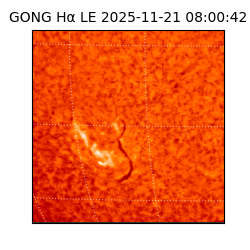 gong - 2025-11-21T08:00:42