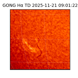 gong - 2025-11-21T09:01:22