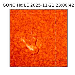 gong - 2025-11-21T23:00:42