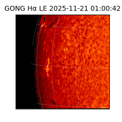 gong - 2025-11-21T01:00:42