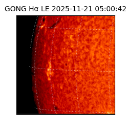 gong - 2025-11-21T05:00:42