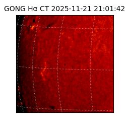gong - 2025-11-21T21:01:42
