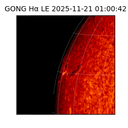 gong - 2025-11-21T01:00:42