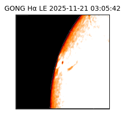 gong - 2025-11-21T03:05:42