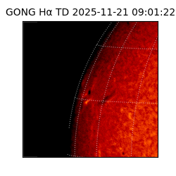 gong - 2025-11-21T09:01:22