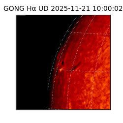 gong - 2025-11-21T10:00:02