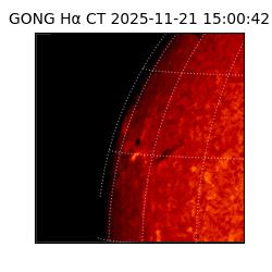 gong - 2025-11-21T15:00:42