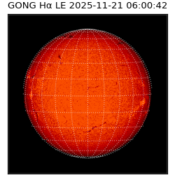 gong - 2025-11-21T06:00:42