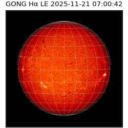 gong - 2025-11-21T07:00:42