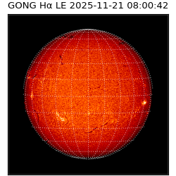 gong - 2025-11-21T08:00:42