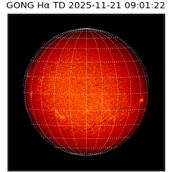 gong - 2025-11-21T09:01:22