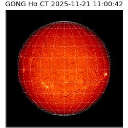 gong - 2025-11-21T11:00:42