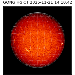 gong - 2025-11-21T14:10:42