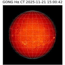 gong - 2025-11-21T15:00:42