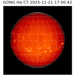 gong - 2025-11-21T17:00:42