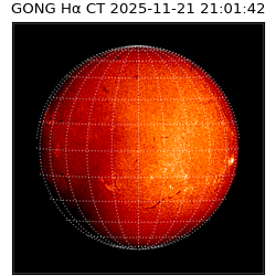 gong - 2025-11-21T21:01:42