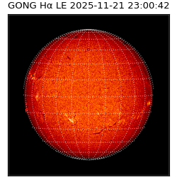 gong - 2025-11-21T23:00:42