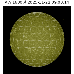 saia - 2025-11-22T09:00:14.125000