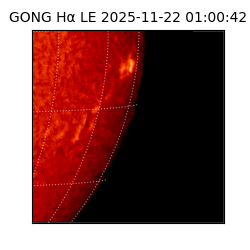 gong - 2025-11-22T01:00:42