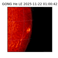 gong - 2025-11-22T01:00:42
