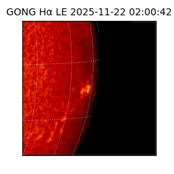 gong - 2025-11-22T02:00:42