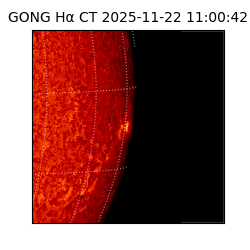 gong - 2025-11-22T11:00:42