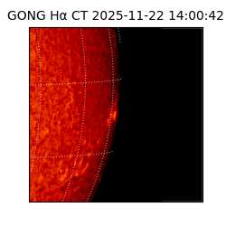 gong - 2025-11-22T14:00:42