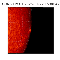gong - 2025-11-22T15:00:42
