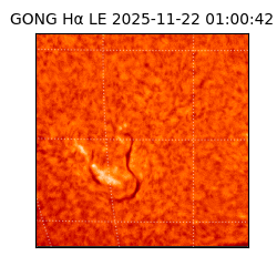 gong - 2025-11-22T01:00:42