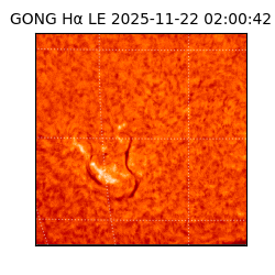 gong - 2025-11-22T02:00:42