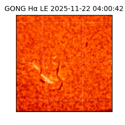 gong - 2025-11-22T04:00:42