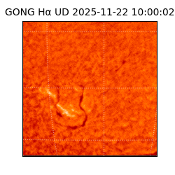 gong - 2025-11-22T10:00:02