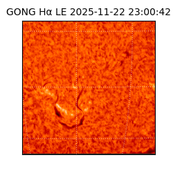 gong - 2025-11-22T23:00:42