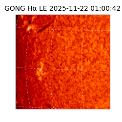 gong - 2025-11-22T01:00:42