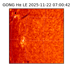 gong - 2025-11-22T07:00:42