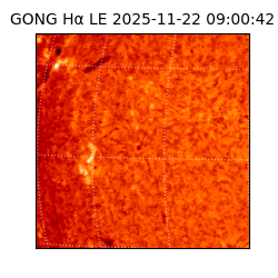 gong - 2025-11-22T09:00:42