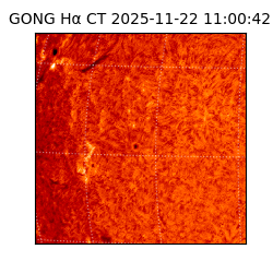 gong - 2025-11-22T11:00:42