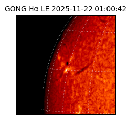 gong - 2025-11-22T01:00:42