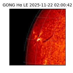 gong - 2025-11-22T02:00:42