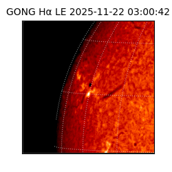gong - 2025-11-22T03:00:42