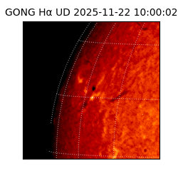 gong - 2025-11-22T10:00:02